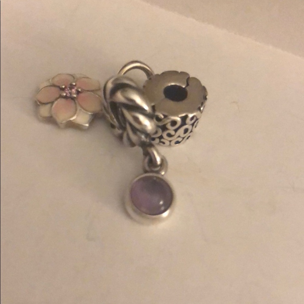 Pandora charms assorted AUTHENTIC